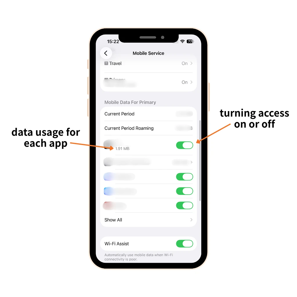 how to check for data usage on iPhone