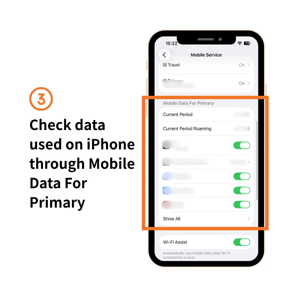 how to see data usage on iPhone