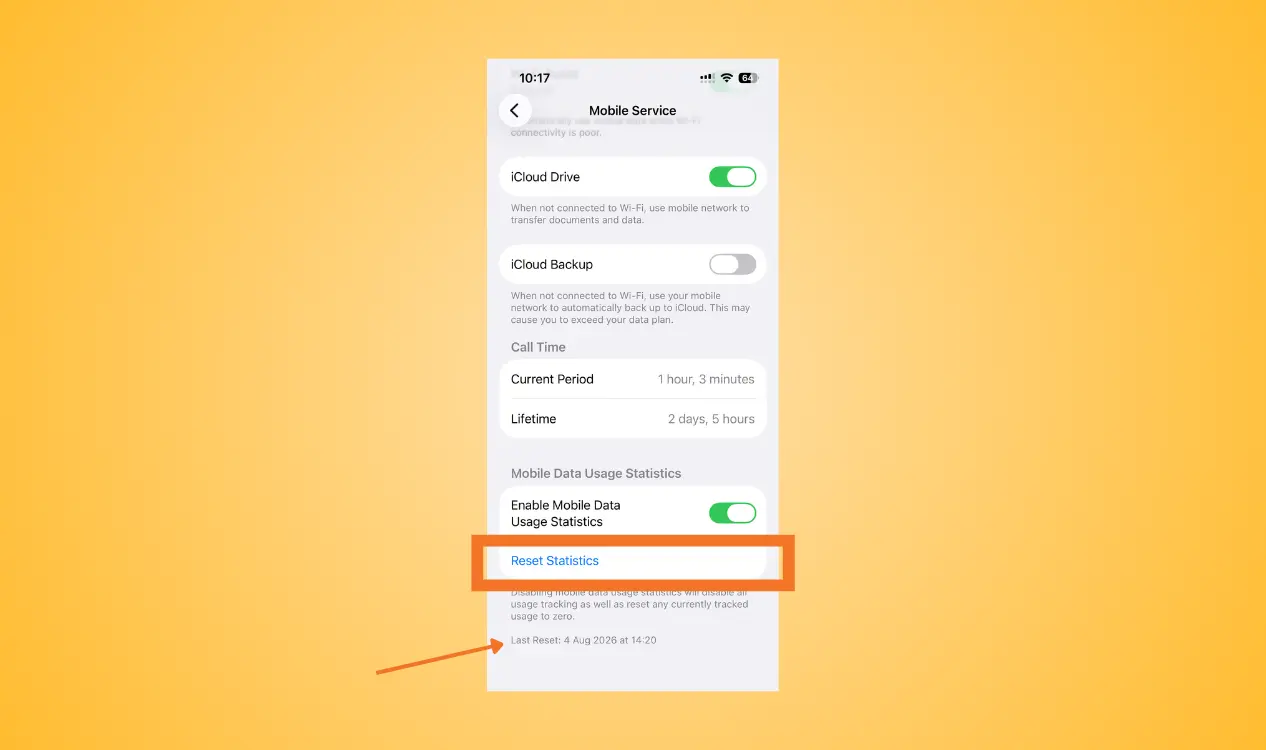 how to check data usage on iPhone