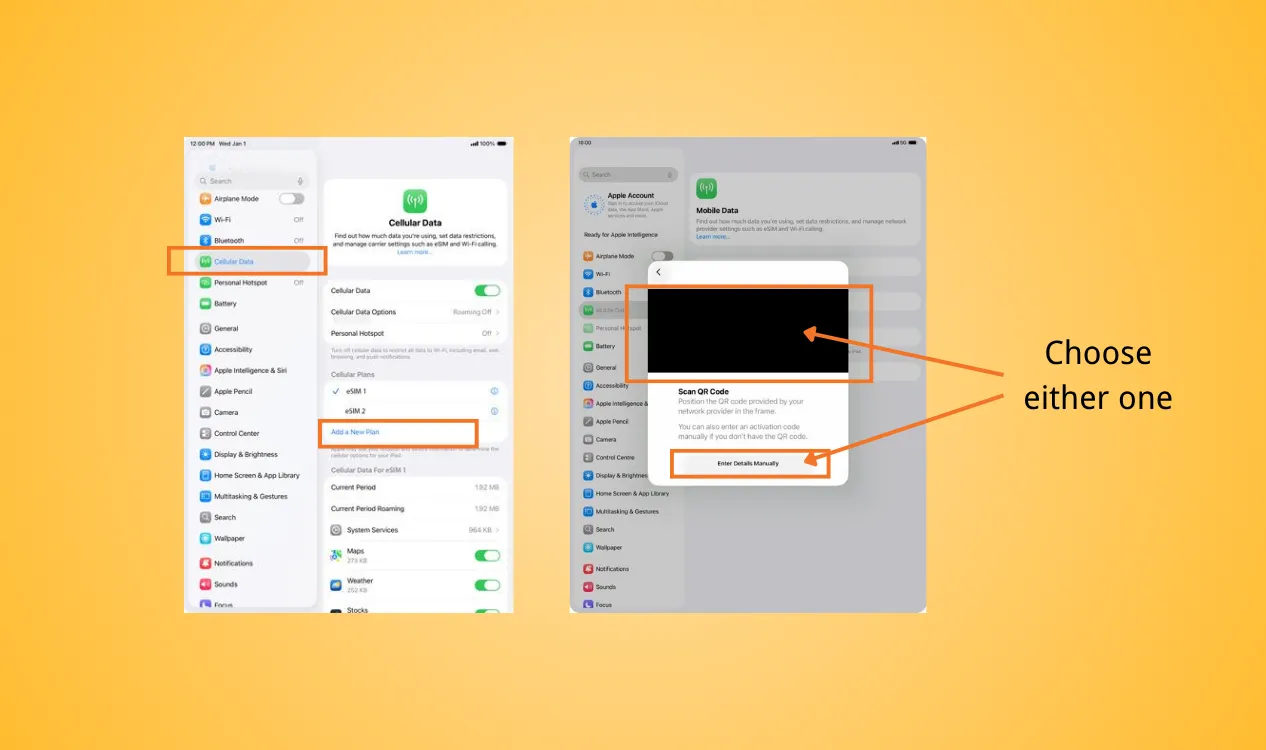 install eSIM for iPad