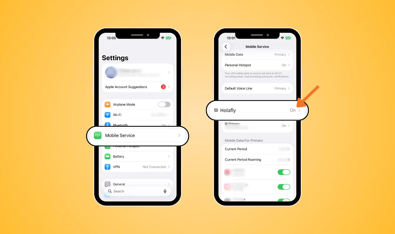 Check Whether Holafly Is Turned On